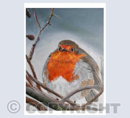 Robin