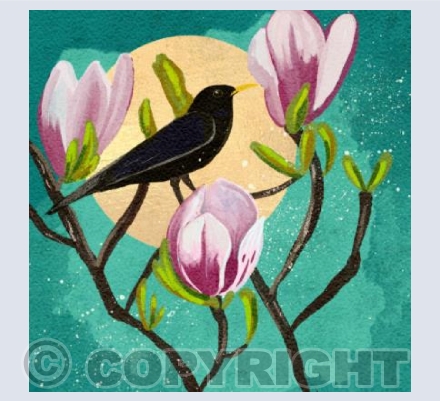 Blackbird