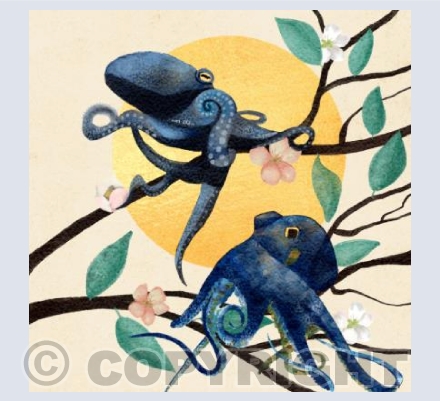 Octopus