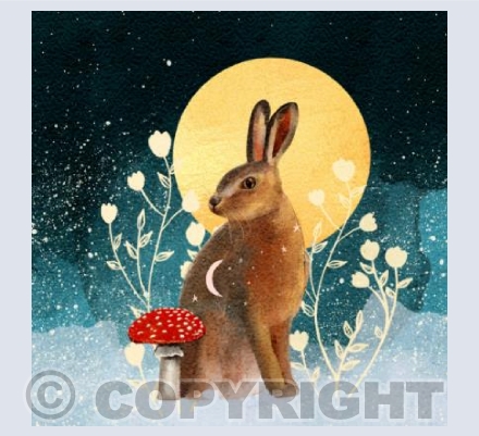 Yule hare