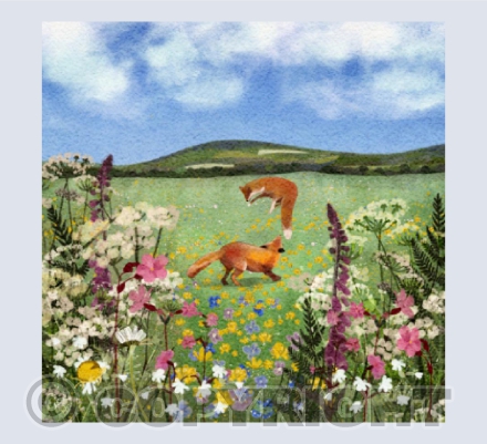 Foxes - Bartinny