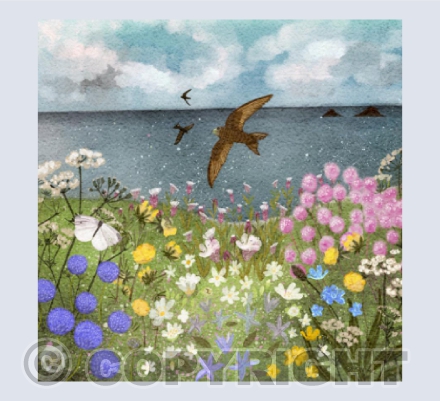 Swallows