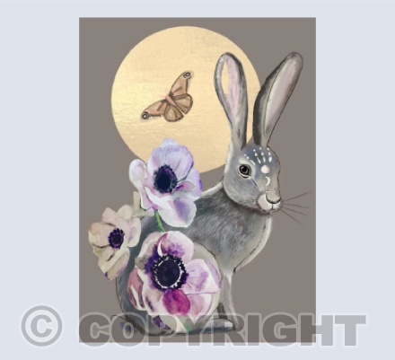 Hare anenome
