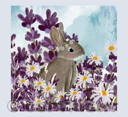Rabbit lavender