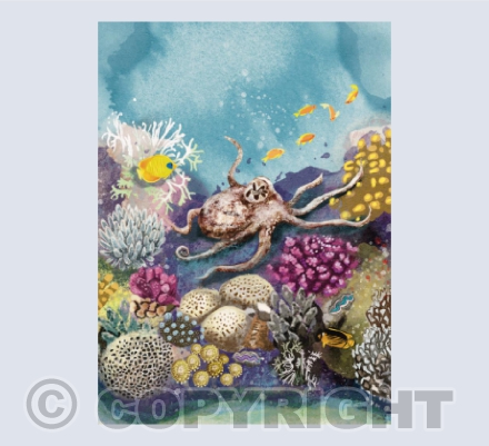 Octopus garden