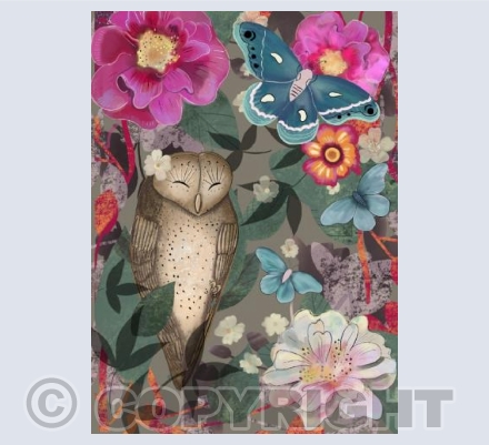 Owl