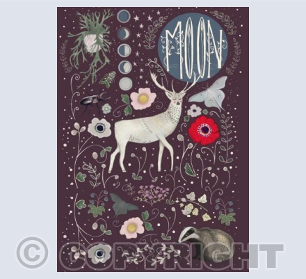Moon