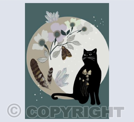 Cat crystals moon