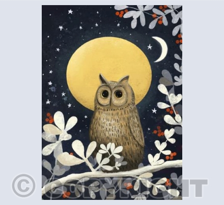 Owl 