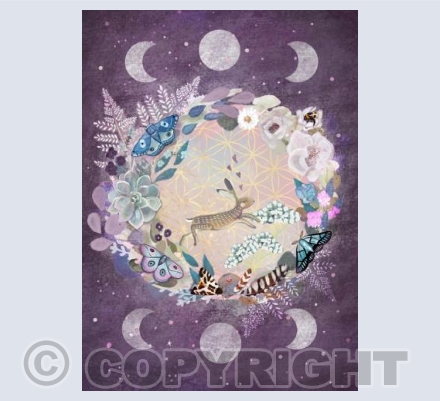 Lilac hare 