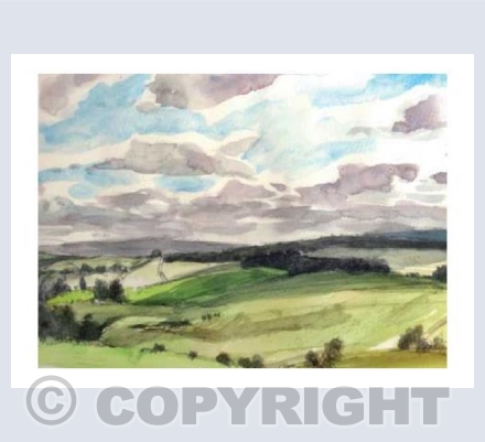 View from Long Plantation