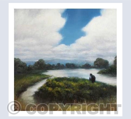 Where the Horses Play