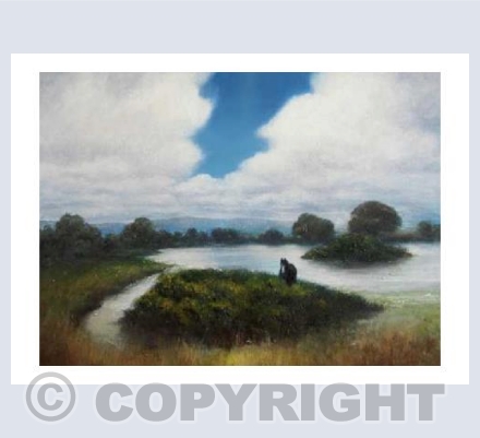 Where the Horses Play