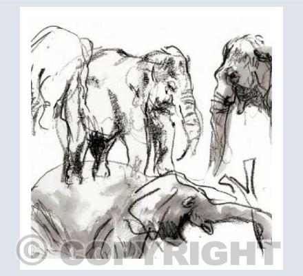 Elephants