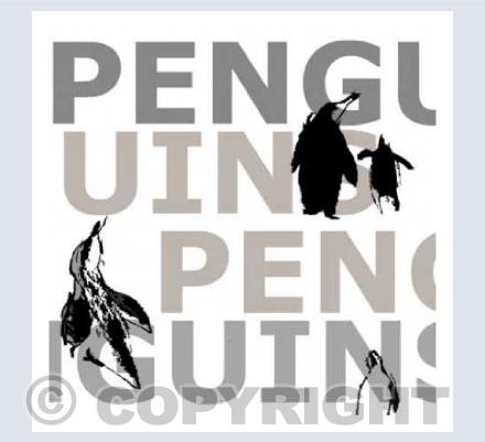 Penguins