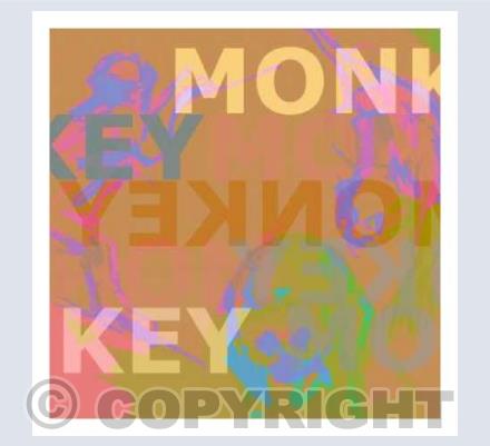 Monkey