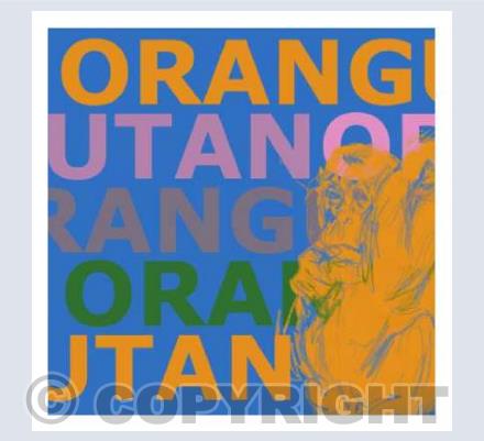 Orangutan