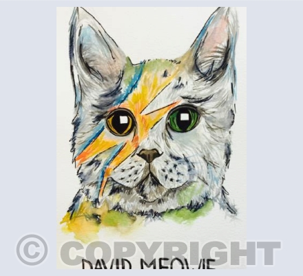 Meowie Bowie