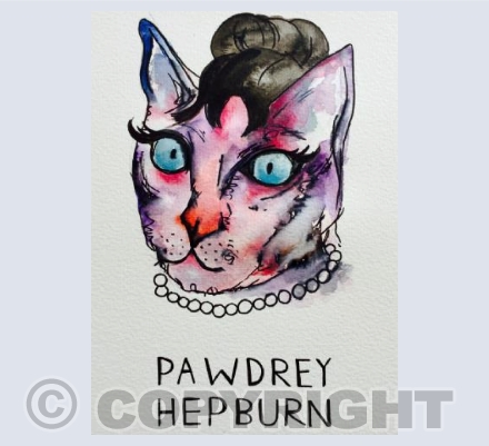 Pawdrey Hepburn 