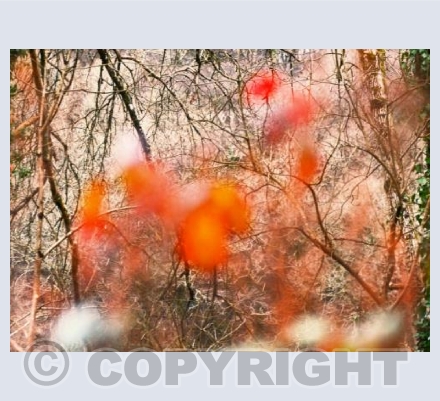 October is Orange