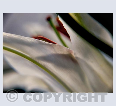 Like Silk