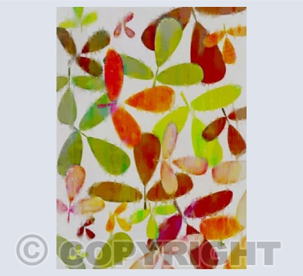 I'Colori D'Autunno