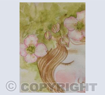 clematis 