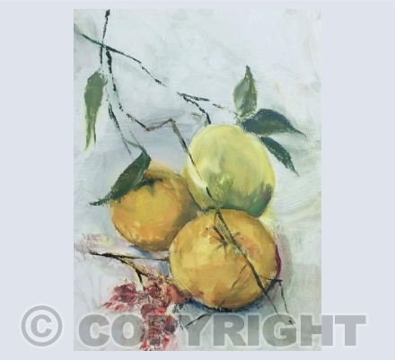 In the Warmth of the Sun