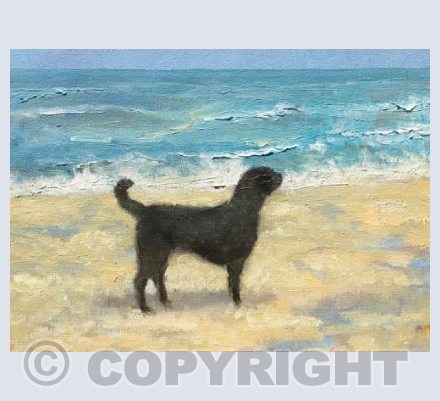 Shall I or Shan't I?