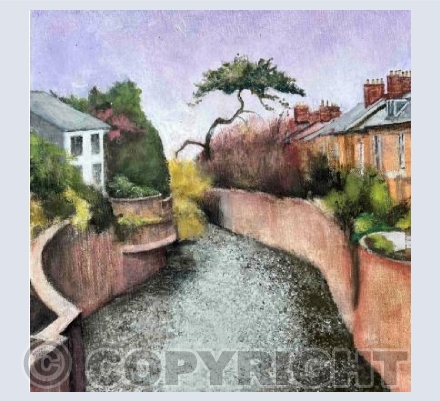 Scots Pine, Riverside