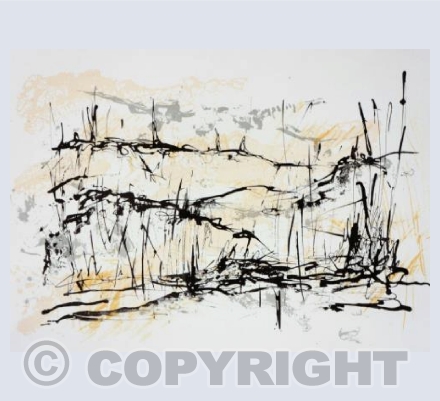 The Acreage