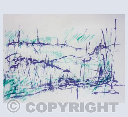 The Acreage in Winter