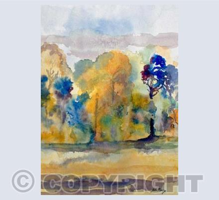 on the edge of the wood