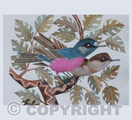 Pink Robins