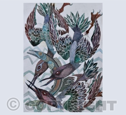 Guillemots