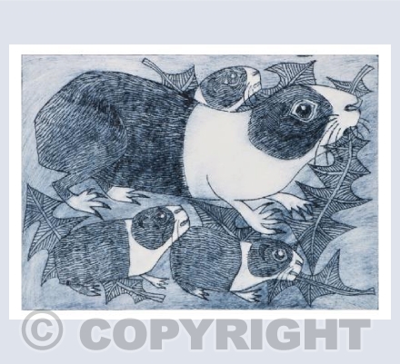 Guinea pigs and dandelion leaves