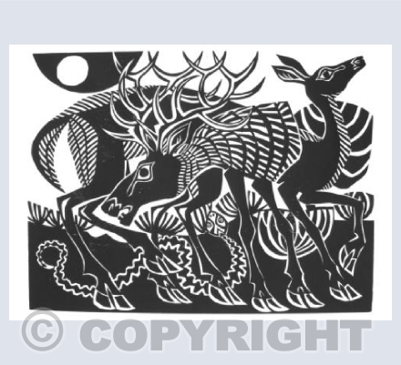Red Deer