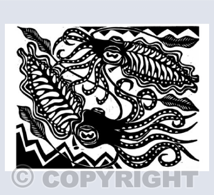 Cuttlefish