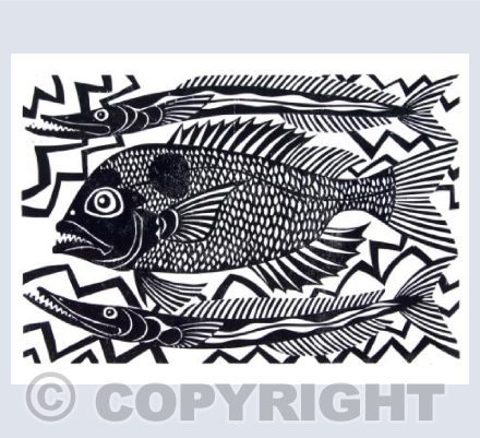 Sea Bream