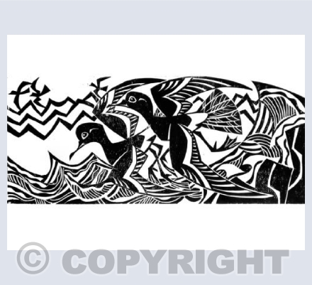 Storm Petrels