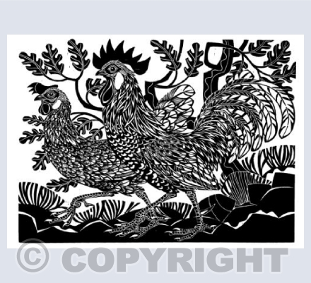 Leghorns