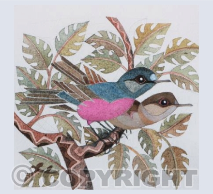 Australian Pink Robins