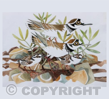 'Little Ringed Plovers'