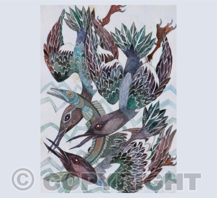 Guillemots