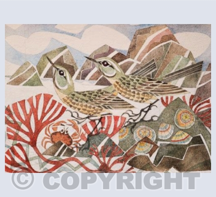 Rock pipits