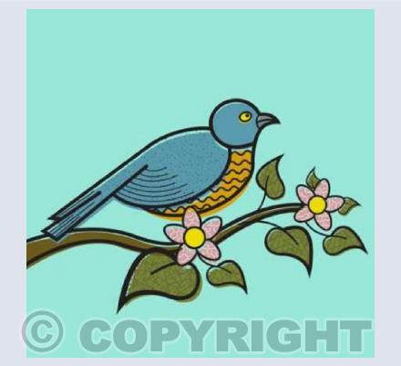 Birds 1