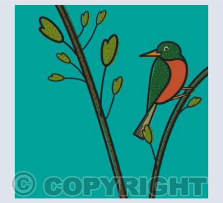Birds 2