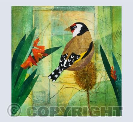 Crocosmia and Goldfinch