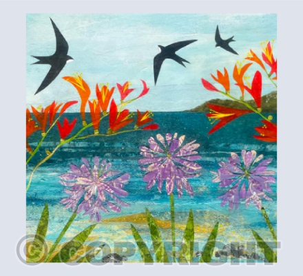 Summer Swifts