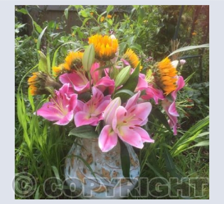 Birthday Lilys